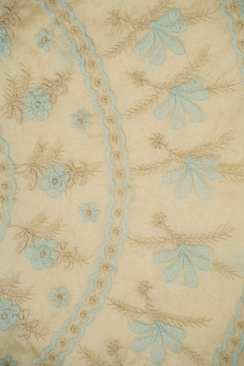 Ivory Organza Saree with Pastel Floral Embroidery