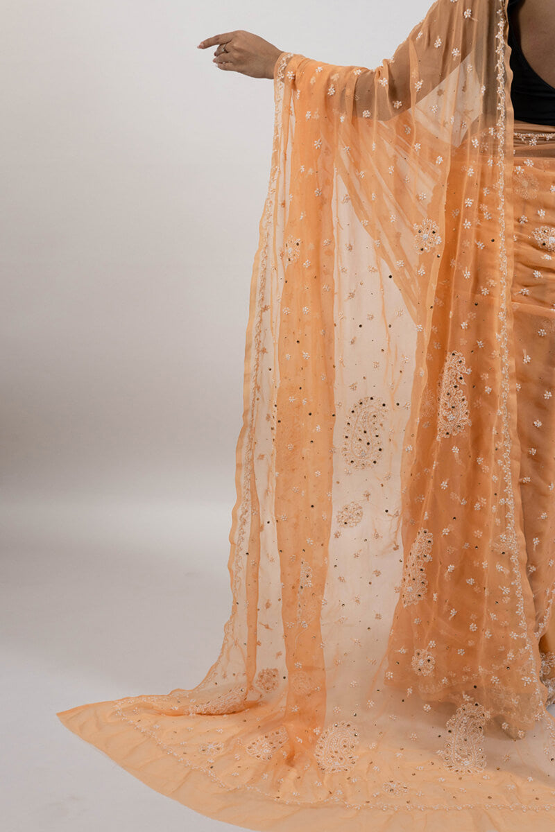 Orange Georgette Saree with Mukesh Work & White Chikankari Embroidery