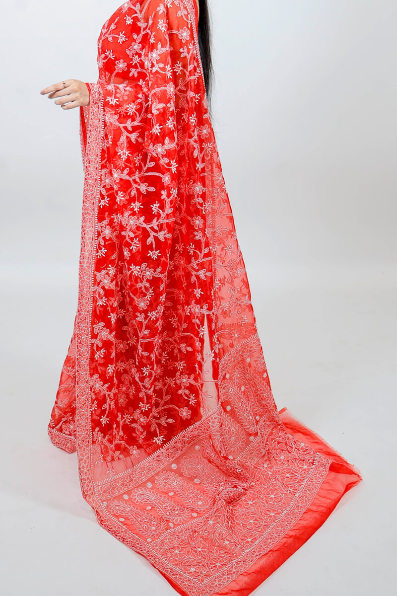 Red Organza Tissue Saree with Chikankari Embroidery